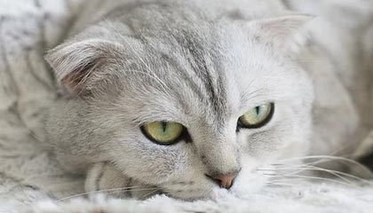 kaiyun官方网站-堡垒之夜电竞联赛奖金再创新高，堡垒之夜奖金超过dota