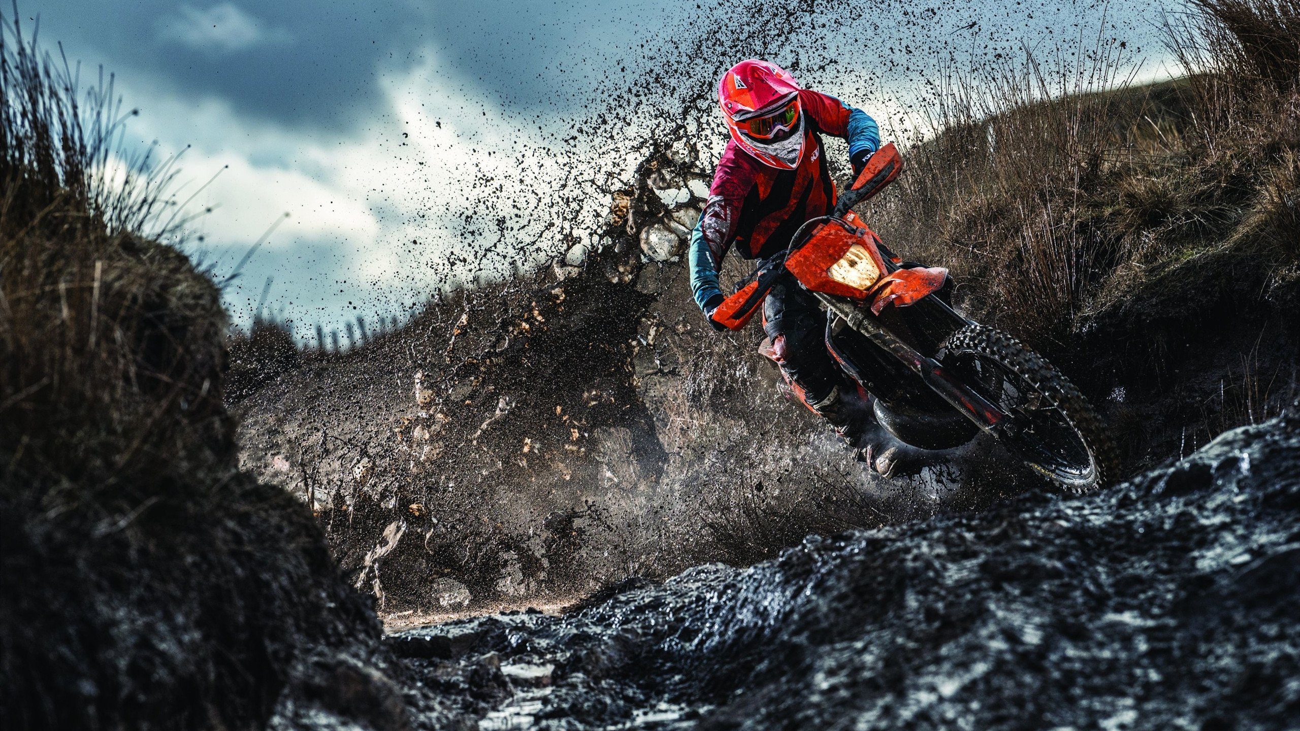 开云官网-唐纳德·高尔的精确传球和突破速度，让袋鼠队攻防如行云流水，唐纳德高德纳