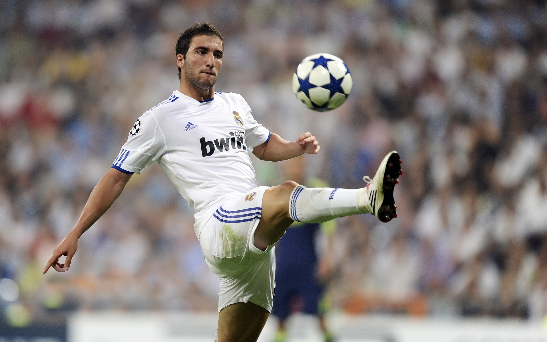 期待未来:联盟新星如何影响联盟格局?,联盟新星都有谁